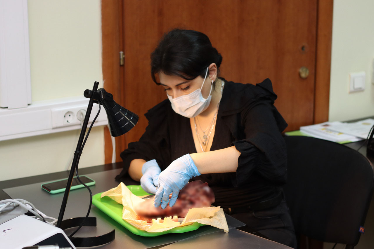 Атравматичное удаление зубов и методики наложения швов