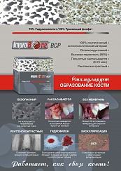 IMPRO Bone BCP